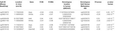 Epigenetic Clocks for Mice Based on Age-Associated Regions That are Conserved Between Mouse Strains and Human